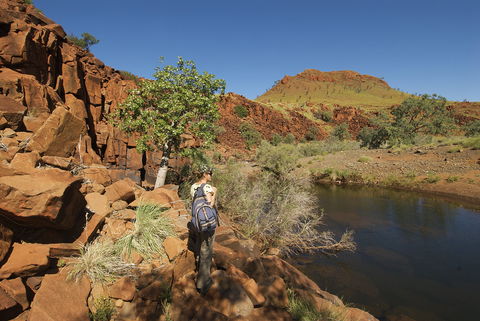 Rail Access Roads - Pilbara - Accommodation Coffs Harbour 1