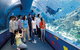 Reef HQ Aquarium - thumb 2