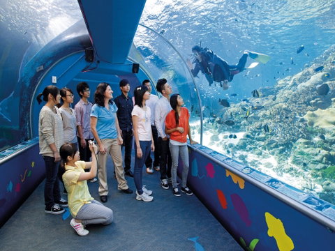 Reef HQ Aquarium - Accommodation Coffs Harbour 2
