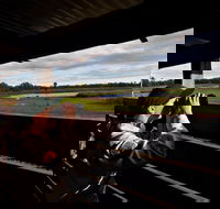Reed Beds Bird Hide Boardwalk - Accommodation Coffs Harbour