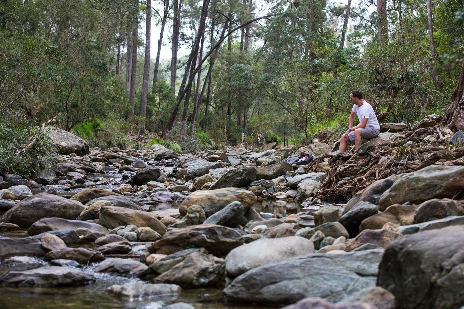 Rocksberg QLD Accommodation Coffs Harbour