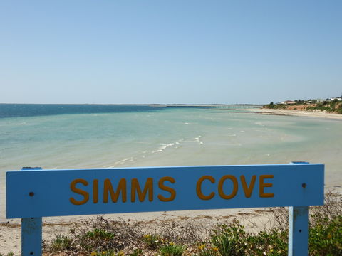 Simms Cove Lookout And Beach, Moonta Bay - Accommodation Coffs Harbour 0