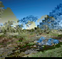 Sunset Track - Accommodation Coffs Harbour
