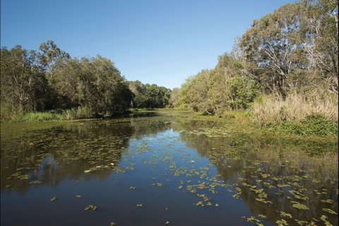 Sunset Track - Accommodation Coffs Harbour 1