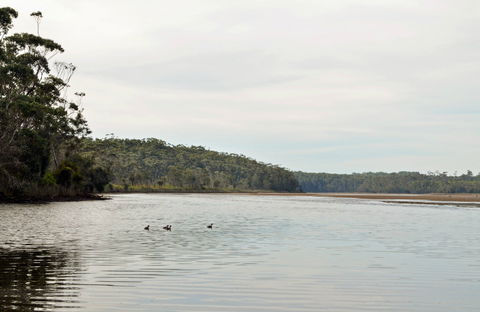 Tabourie Lake - Accommodation Coffs Harbour 0