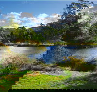 Tasmanian Arboretum Inc. - The - Accommodation Coffs Harbour