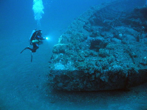 The Zanoni Wreck - Accommodation Coffs Harbour 0