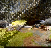 The Pines Picnic Area - Accommodation Coffs Harbour