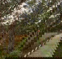 The Briars Park Walking Trails - Accommodation Coffs Harbour