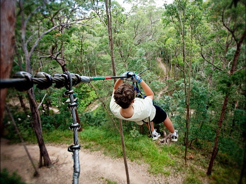 TreeTop Challenge - Accommodation Coffs Harbour 0
