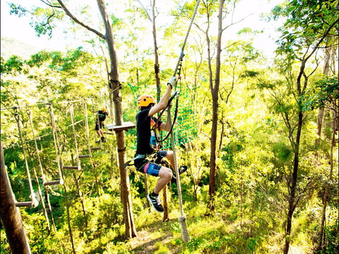 TreeTop Challenge - Accommodation Coffs Harbour 1