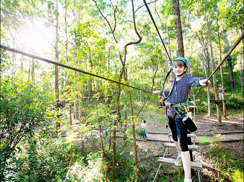 TreeTop Challenge - Accommodation Coffs Harbour 2