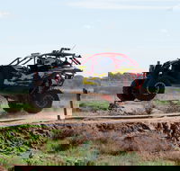 Turbo Buggy Ride - Accommodation Coffs Harbour