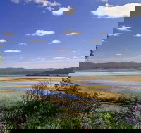 Wallagoot Lake Picnic Area and Boat Ramp - Accommodation Coffs Harbour