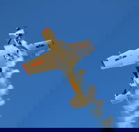 Warbird Aerial Adventures - Accommodation Coffs Harbour