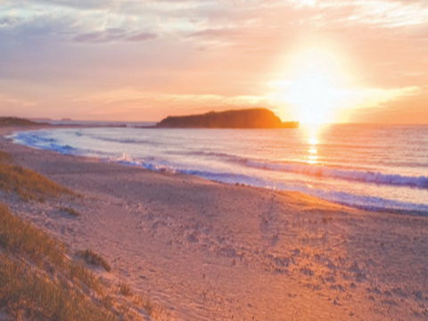 Warilla Beach: Shellharbour - Accommodation Coffs Harbour 0