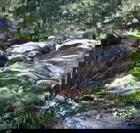 Washpools waterhole - Accommodation Coffs Harbour