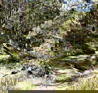 Wollomombi Walking Track - Accommodation Coffs Harbour