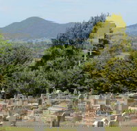 Yackandandah Cemetery - Accommodation Coffs Harbour