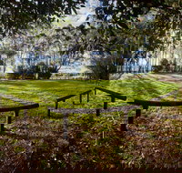 Aboriginal Bora Ring - Accommodation Coffs Harbour