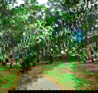 Adungadoo Pathway - Accommodation Coffs Harbour