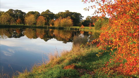 Alpine - Accommodation Coffs Harbour 0