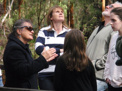 Ancient Empire Walk, Valley Of The Giants - Accommodation Coffs Harbour 1