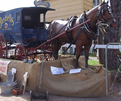 Arms Of Australia Inn Museum - Accommodation Coffs Harbour 2