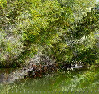 Berry Springs Nature Park - Accommodation Coffs Harbour