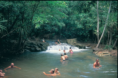 Berry Springs Nature Park - Accommodation Coffs Harbour 1
