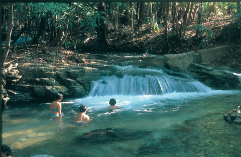 Berry Springs Nature Park - Accommodation Coffs Harbour 2