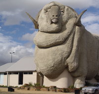 Big Merino - Accommodation Coffs Harbour