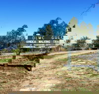 Bindea Walking Track - Accommodation Coffs Harbour