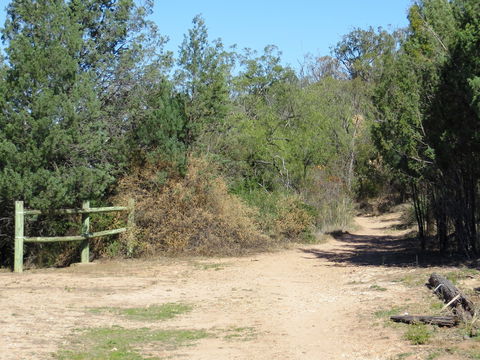 Bindea Walking Track - Accommodation Coffs Harbour 1