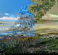 Black Oaks Picnic Area - Accommodation Coffs Harbour