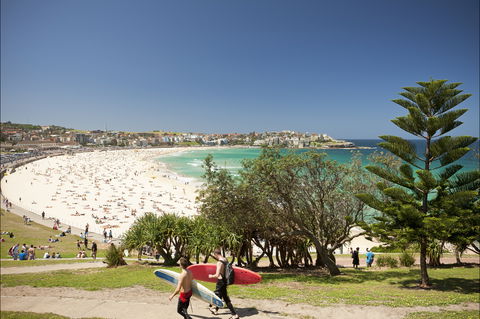 Bondi To Coogee Coastal Walk - Accommodation Coffs Harbour 0