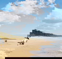 Bongil Bongil National Park - Accommodation Coffs Harbour