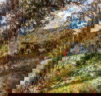 Brindabella National Park - Accommodation Coffs Harbour