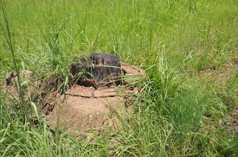 Brocks Creek Chinatown And Temple Site - Accommodation Coffs Harbour 0
