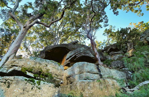 Burrawang Reach Picnic Area - Accommodation Coffs Harbour 0