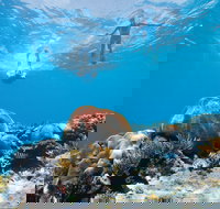 Capricorn Coast and Great Keppel Island Drive Itinerary - Accommodation Coffs Harbour