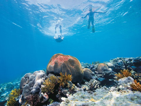 Capricorn Coast And Great Keppel Island Drive Itinerary - Accommodation Coffs Harbour 0