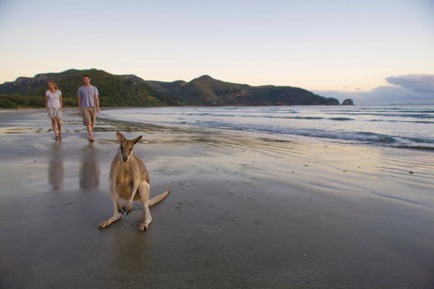 Cape Hillsborough National Park - Accommodation Coffs Harbour 0