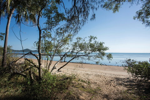 Cape Hillsborough National Park - Accommodation Coffs Harbour 1