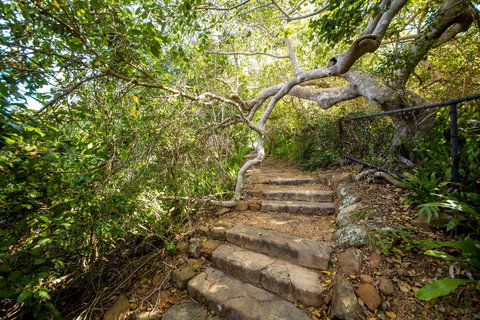 Capricorn Coast National Park - Accommodation Coffs Harbour 2