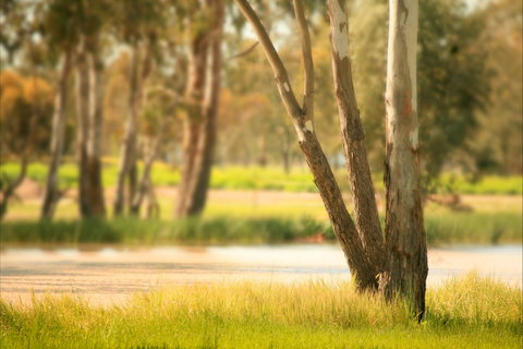 Cecil Plains To Tara Fishing Tour - Accommodation Coffs Harbour 1