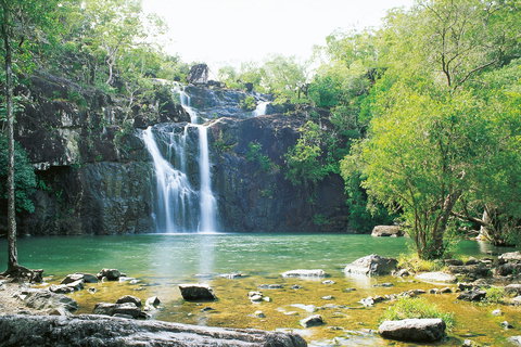 Cedar Creek Falls - Accommodation Coffs Harbour 0
