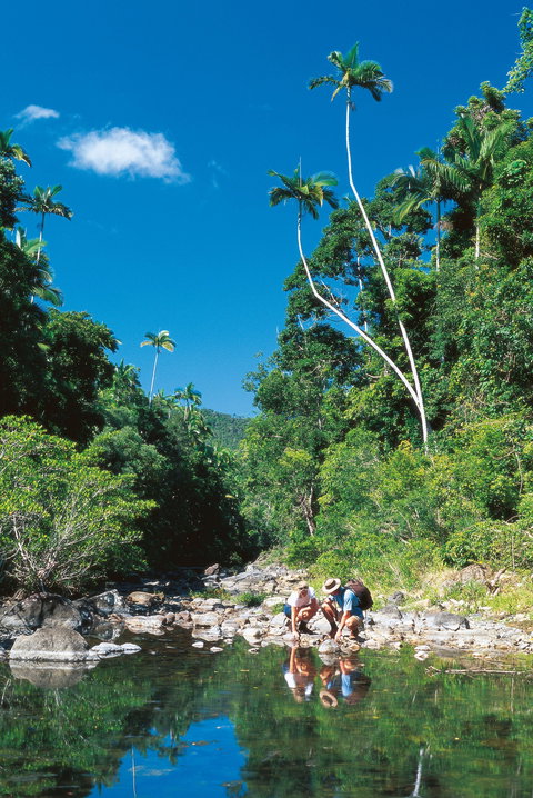 Cedar Creek Falls - Accommodation Coffs Harbour 2