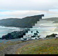 Connors Walking Track - Accommodation Coffs Harbour