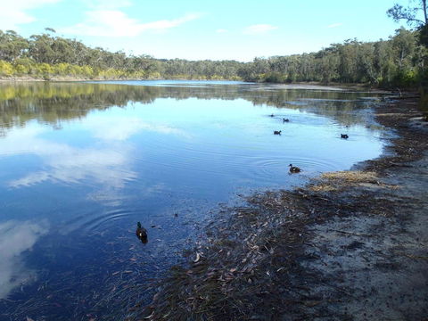 Conjola National Park - Accommodation Coffs Harbour 0
